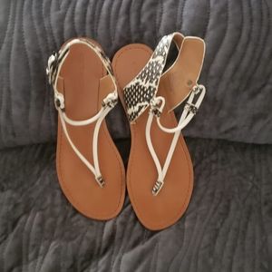 COACH Womens Clarkson Open Toe Casual Slingback